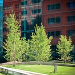 Edison Park Center A quality location to grow your business