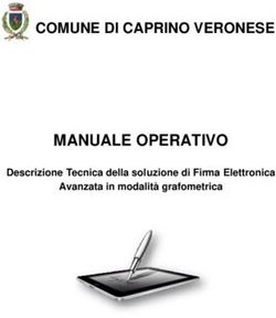 MANUALE OPERATIVO COMUNE DI CAPRINO VERONESE - Descrizione Tecnica della soluzione di Firma Elettronica - Comune ...