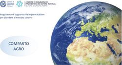 COMPARTO AGRO Programma di supporto alle imprese italiane per accedere al mercato ucraino - FederUnacoma