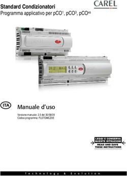 STANDARD CONDIZIONATORI - PROGRAMMA APPLICATIVO PER PCO1, PCO3, PCOXS - MANUALE D'USO