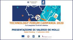 TECHNOLOGY FORUM CAMPANIA 2020 - PRESENTAZIONE DI VALERIO DE MOLLI La Campania Tech Revolution - The ...