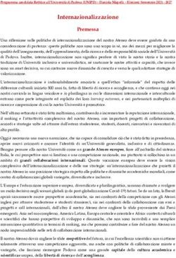 Internazionalizzazione - Premessa