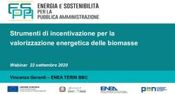 Strumenti di incentivazione per la valorizzazione energetica delle biomasse - Vincenzo Gerardi - ENEA TERIN BBC