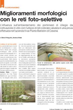 Miglioramenti morfologici con le reti foto-selettive