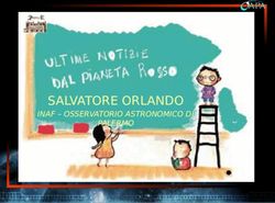 SALVATORE ORLANDO INAF - OSSERVATORIO ASTRONOMICO DI PALERMO - Osservatorio Astronomico di ...