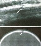 N.1 2019 - Rete Pediatrica Toscana