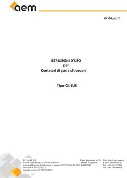 ISTRUZIONI D'USO per Contatori di gas a ultrasuoni