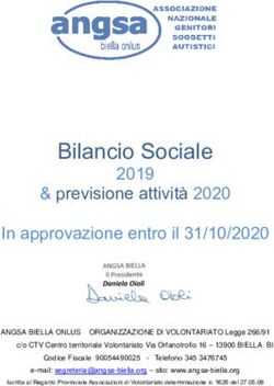 Bilancio Sociale 2019 & previsione attivit&agrave; 2020 In approvazione entro il 31/10/2020 - ANGSA BIELLA