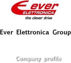 Ever Elettronica Group - Company profile