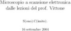 Microscopio a scansione elettronica dalle lezioni del prof. Vittone - S(ono).C(imito). 16 settembre 2004
