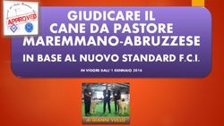 GIUDICARE IL CANE DA PASTORE MAREMMANO-ABRUZZESE - IN BASE AL NUOVO STANDARD F.C.I - Circolo del Pastore ...
