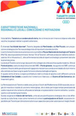 CARATTERISTICHE NAZIONALI, REGIONALI E LOCALI, CONCEZIONE E MOTIVAZIONI