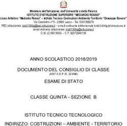 ANNO SCOLASTICO 2018/2019 DOCUMENTO DEL CONSIGLIO DI CLASSE - IIS Medardo ...