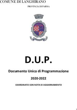 D.U.P. Documento Unico di Programmazione 2020-2022 - Comune ...