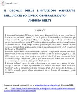 IL DEDALO DELLE LIMITAZIONI ASSOLUTE DELL'ACCESSO CIVICO GENERALIZZATO