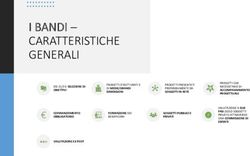 I BANDI - CARATTERISTICHE GENERALI - Fondazione di Modena
