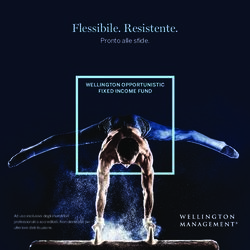 Flessibile. Resistente - Pronto alle sfide. WELLINGTON OPPORTUNISTIC FIXED INCOME FUND - Wellington Management Funds