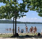 XV Riunione del Collegio di Vigilanza - AQST "Salvaguardia e risanamento del lago di Varese" - Regione Lombardia