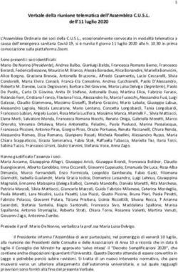 Verbale della riunione telematica dell'Assemblea C.U.S.L. dell'11 luglio 2020 - CUSL