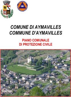 COMUNE DI AYMAVILLES COMMUNE D'AYMAVILLES - PIANO COMUNALE DI PROTEZIONE CIVILE