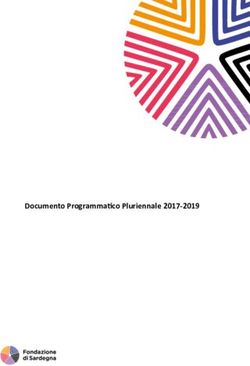 Documento Programmatico Pluriennale 2017-2019 - Fondazione di ...