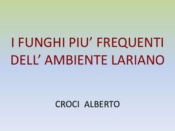 I FUNGHI PIU' FREQUENTI DELL' AMBIENTE LARIANO - CROCI ALBERTO - Gruppo Micologico di ...