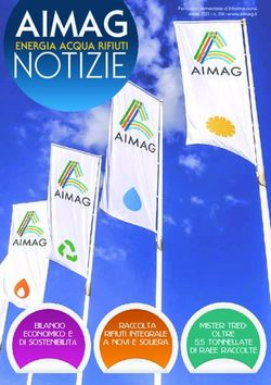 BILANCIO RACCOLTA - Aimag