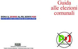 Guida alle elezioni comunali