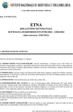 ETNA BOLLETTINO SETTIMANALE SETTIMANA DI RIFERIMENTO 07/02/2022 13/02/2022 - INGV-OE