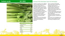 Sedanoverde Rif.0565 - CAL Parma