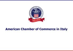 American Chamber of Commerce in Italy - Sindacato Avvocati ...