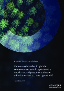 Il mercato del carbonio globale: come compensazioni, regolamenti e nuovi standard possono catalizzare minori emissioni e creare opportunit&agrave; ...