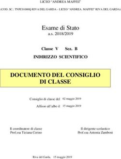 DOCUMENTO DEL CONSIGLIO DI CLASSE - Esame di Stato - Liceo "Andrea Maffei"