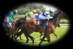 Programma della settimana - Sabato, 01. giugno 2019 fino Venerd&igrave;, 07. giugno 2019 - Hotel Viktoria