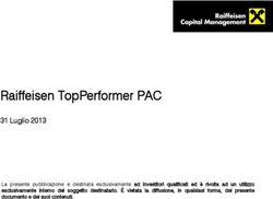 Raiffeisen TopPerformer PAC - 31 Luglio 2013