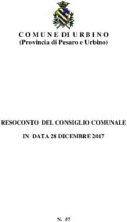 COMUNE DI URBINO (Provincia di Pesaro e Urbino) - RESOCONTO DEL CONSIGLIO COMUNALE IN DATA 28 DICEMBRE 2017
