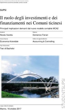 Il ruolo degli investimenti e dei finanziamenti nei Comuni ticinesi