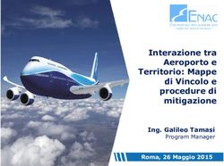 Interazione tra Aeroporto e Territorio: Mappe di Vincolo e procedure di mitigazione - Ing. Galileo Tamasi