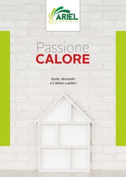 Passione CALORE Stufe, Idrostufe e Caldaie a pellet - Ariel Energia