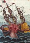 Animali mistEriosi Viaggio tra gli Enigmi della Criptozoologia - Stella Mattutina Edizioni