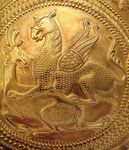 Animali mistEriosi Viaggio tra gli Enigmi della Criptozoologia - Stella Mattutina Edizioni