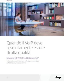 QUANDO IL VOIP DEVE ASSOLUTAMENTE ESSERE DI ALTA QUALIT&Agrave; - SOLUZIONE SD-WAN CLOUDBRIDGE PER VOIP - CITRIX