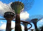 IN ORIENTE COSTA FORTUNA - Singapore, Malesia e Thailandia - Costa Fortuna in Malesia, SIngapore e ...