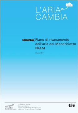 Piano di risanamento dell'aria del Mendrisiotto - PRAM