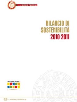 BILANCIO DI SOSTENIBILIT&Agrave; 2010-2011 - AB INBEV
