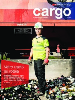 Vetro usato su rotaia - Serbeco trasporta ogni anno 6000 tonnellate di vetro usato da riciclare - SBB Cargo