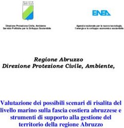 Valutazione dei possibili scenari di risalita del livello marino sulla fascia costiera abruzzese e strumenti di supporto alla gestione del ...