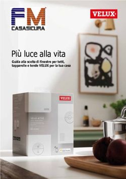 Pi&ugrave; luce alla vita Guida alla scelta di finestre per tetti, tapparelle e tende VELUX per la tua casa - FM Casa sicura
