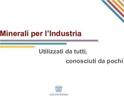 Minerali per l'Industria - Utilizzati da tutti, Assomineraria