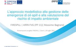 L'approccio modellistico alla gestione delle emergenze di oil-spill e alla valutazione del rischio di impatto ambientale - FIRESPILL | ARPA FVG ...